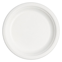 bagasse-plate